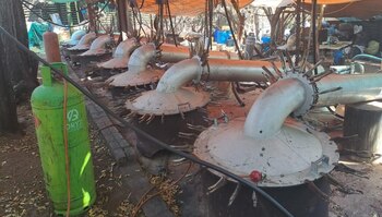 Dos personas de origen mexicano