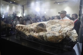 El mar peruano fue el