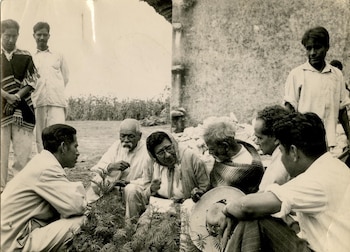 Ocho personas al aire libre. Cuatro hombres sentados, una mujer sentada, un hombre agachado, dos hombres de pie. Vegetación en primer plano, muro de fondo