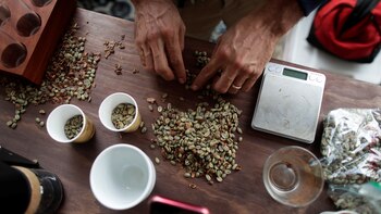 El lujoso café Geisha de