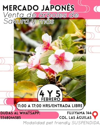 El evento se llevará a