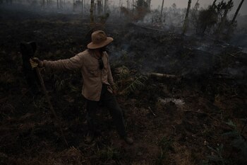 Francisco trabaja en los campos