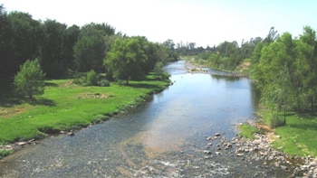 Un hombre se arrojó al