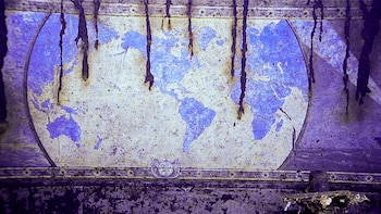 La cámara submarina captura detalles