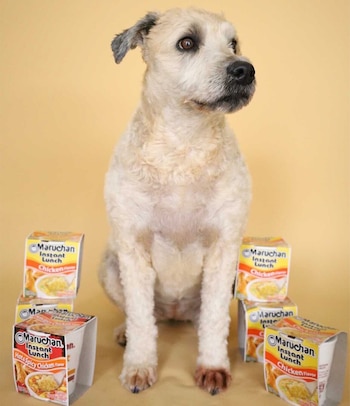 Cómo la liofilización transforma los