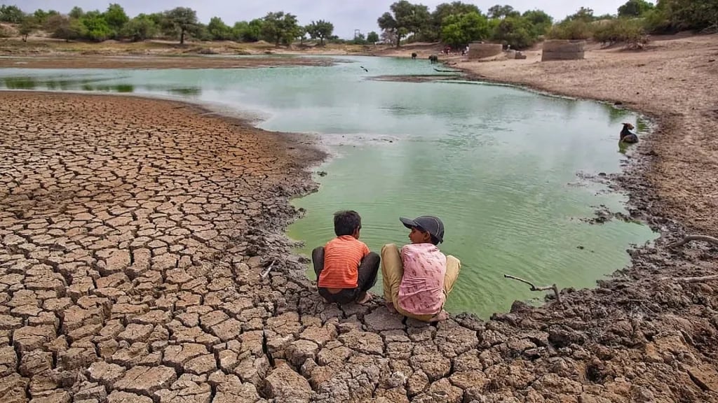 El 85% de las pasturas de La Guajira presenta afectaciones por la sequía y la falta de agua, según datos del gremio ganadero - crédito Universidad de La Guajira