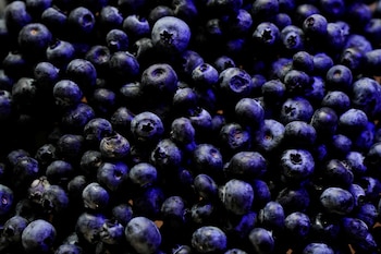 La FDA elevó a nivel 1 el retiro de berries congelados GreenWise vendidos en Publix por un posible foco de E. coli (REUTERS/ Angela Ponce/Illustration)