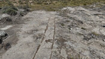 Huellas fósiles de dinosaurio revelan