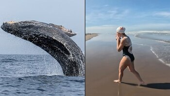 Esta deportista mexicana nadó 43