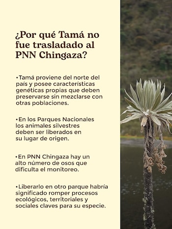 La entidad aclaró que Tamá