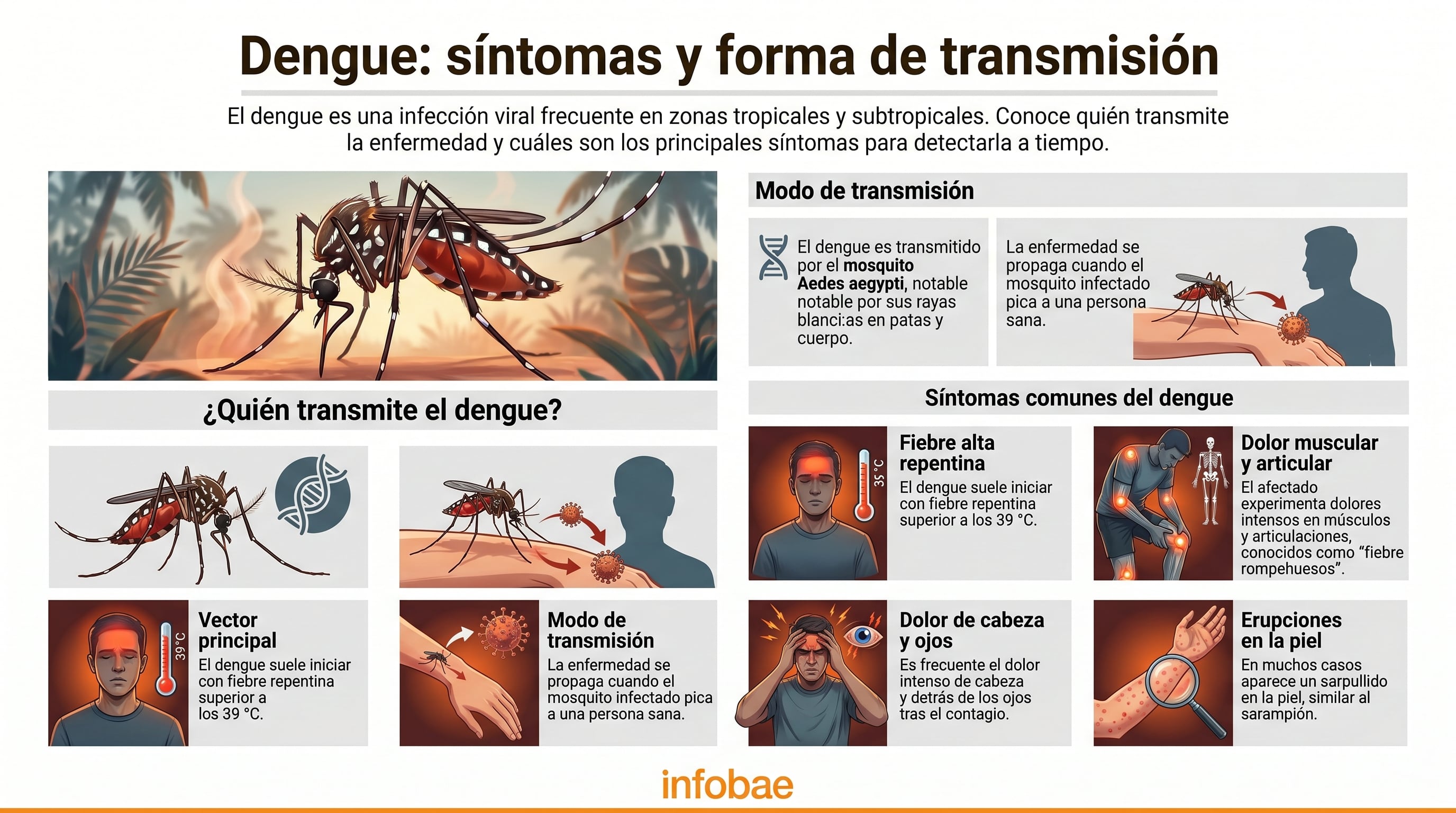 Los síntomas más frecuentes incluyen fiebre alta, dolor muscular y dolor detrás de los ojos. Infobae