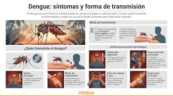 Infografía con ilustraciones del mosquito Aedes aegypti y diagramas de personas que muestran los síntomas del Dengue, como fiebre, dolor muscular, dolor de cabeza y erupciones cutáneas.