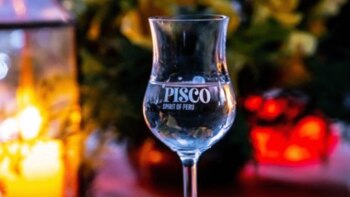 Dónde encontrar el mejor pisco