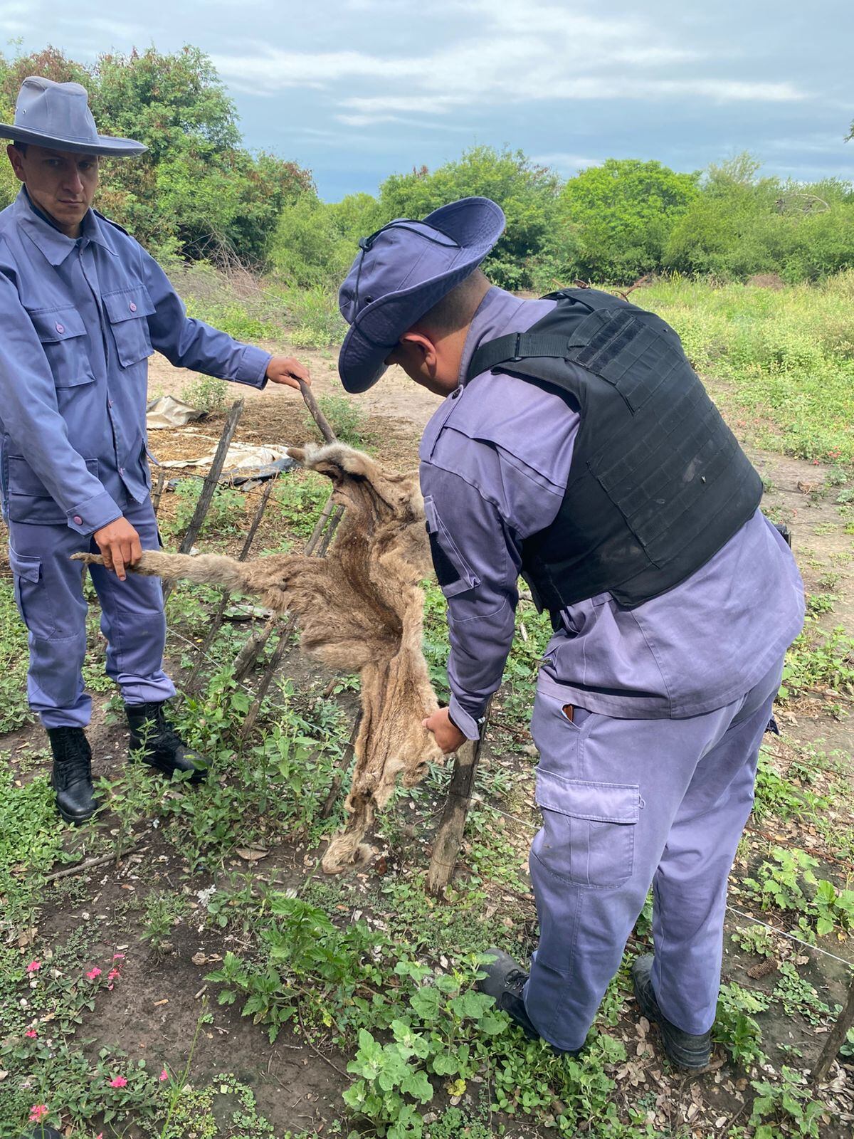 El presunto autor del hecho fue identificado y continuará vinculado a la causa en libertad