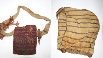 El hallazgo comprende una variedad