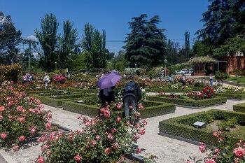 La cercanía al Parque del