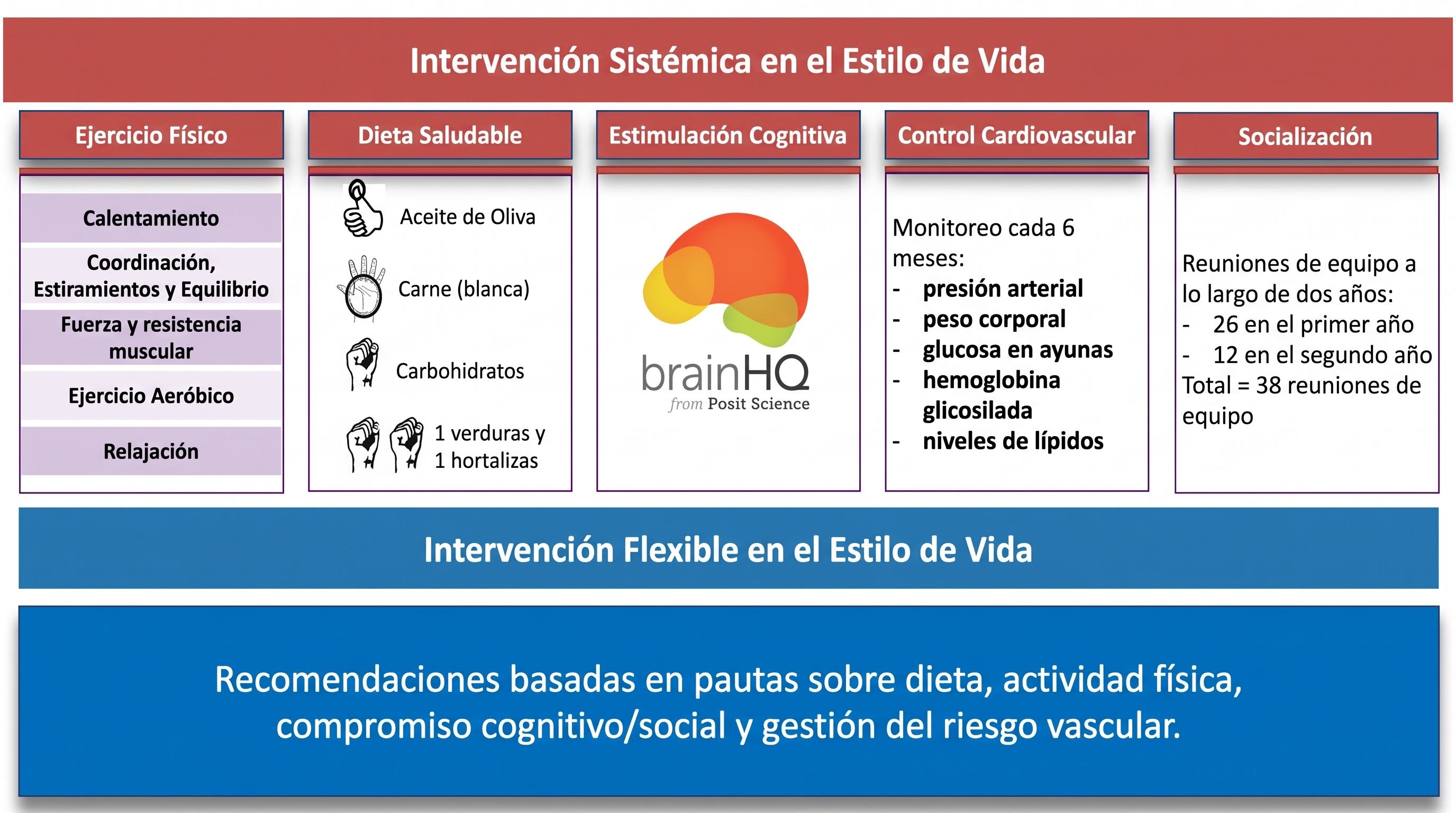 Una infografía detalla las áreas de la intervención sistémica en el estilo de vida, que abarca ejercicio, alimentación, estimulación cognitiva, salud cardiovascular y socialización. (Imagen Ilustrativa Infobae)