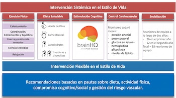 Infografía estructurada en columnas sobre ejercicio físico, dieta saludable, estimulación cognitiva, control cardiovascular y socialización.