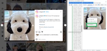 Seleccionar "save image as". (Infobae)