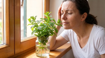 Mujer con ojos cerrados y mano en la sien, planta de menta en vaso con agua en el alféizar de una ventana de madera.