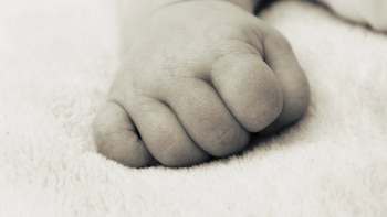 FEDUP reclama en el Senado