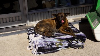 “Ojalá esto genere conciencia, que