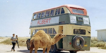 El viaje permitía vivir experiencias