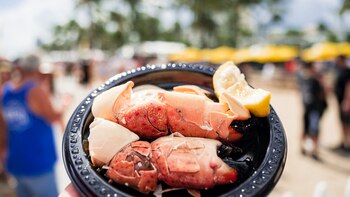 Miami Beach se prepara para