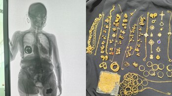 Los pasajeros arribaron desde Panamá