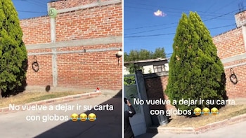 Comentarios de burla y críticas