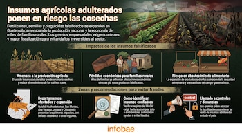 Infografía sobre insumos agrícolas con cultivos, sacos de fertilizantes, semillas, pesticidas. Muestra familias rurales, mercado, mapa de Guatemala y símbolos de control.
