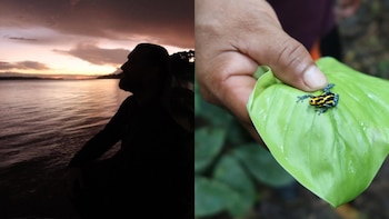 El cantante británico compartió imágenes