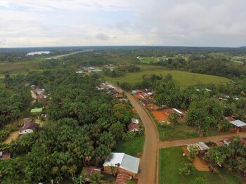 Amazonas. / Colprensa