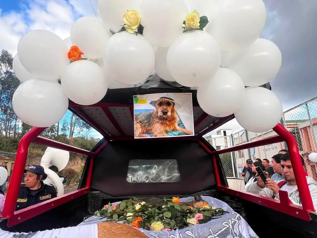 Gualmatán despide al perrito Leyenda con misa, desfile y homenaje de bomberos