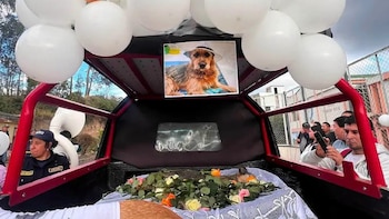 En Nariño despidieron a un perrito callejero como si fuera un personaje ilustre: hubo procesión, misa y hasta papayera