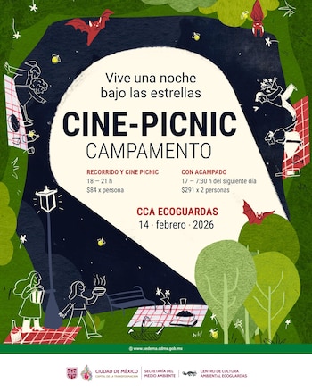 As atividades incluem passeios noturnos,