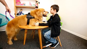 Titán tiene 5 años y