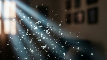 El aire en los hogares contiene millones de microplásticos, según estudios recientes