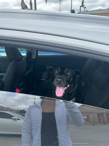 La historia de resiliencia de