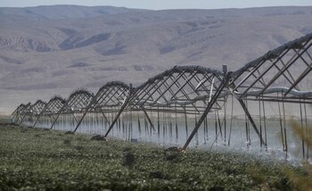 Pulverizadores de campos de afalfa