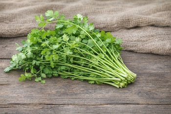 Un manojo de cilantro fresco con tallos y hojas verdes se apoya sobre una tabla de madera. Al fondo hay una tela de arpillera color café.