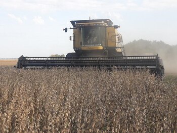 En la zona núcleo la