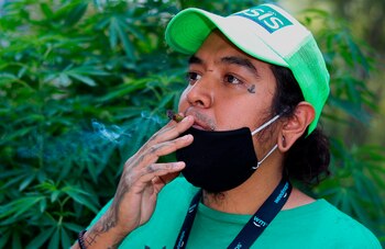 La propuesta también plantea la