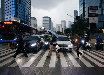 El vínculo entre la deficiencia