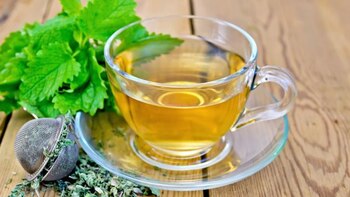 Aprende a preparar una infusión