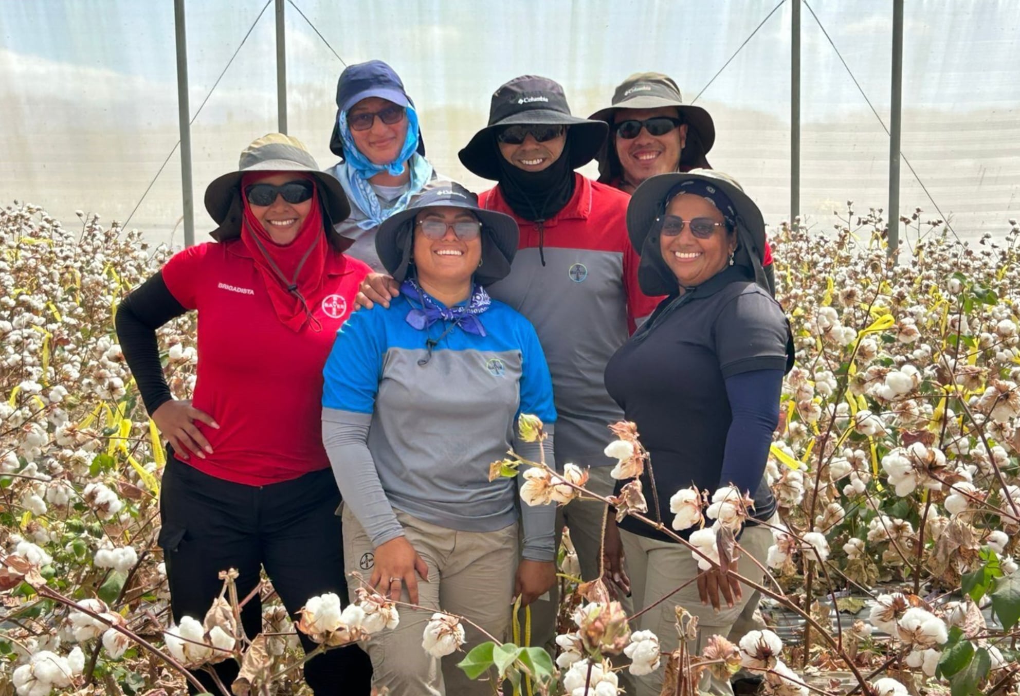 Más de 50 empleos permanentes y hasta 200 temporales se generan en este sector agrícola. Cortesía: Bayer