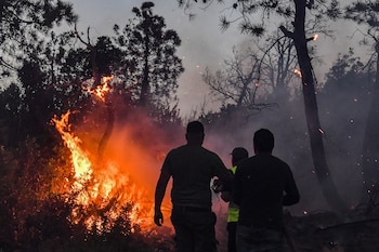 Los incendios se extendieron principalmente