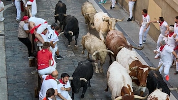 Los toros de Fuente Ymbro protagonizan un rápido y masificado primer encierro de San Fermín