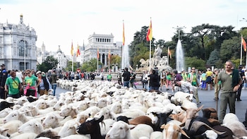 Cultura concede 234.000 euros en