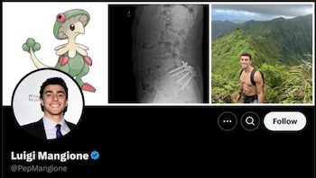 Luigi Mangione Pokémon Breloom